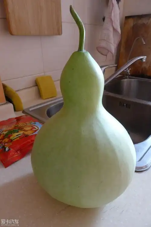 【图】我又吃葫芦了_1_四川论坛_爱卡汽车