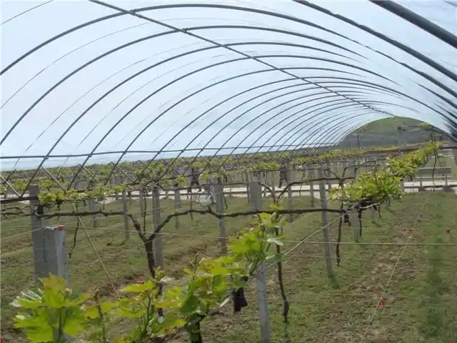 近期多家客户让设计葡萄辟雨棚,我们建设的葡萄避雨棚主体采用镀锌钢