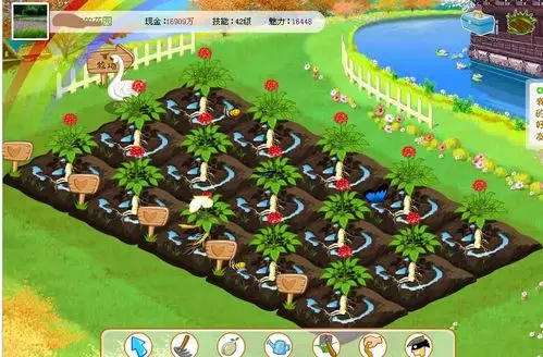 开心网菜地 怎样自己的10块地全种人参?附上一张今天截的图片