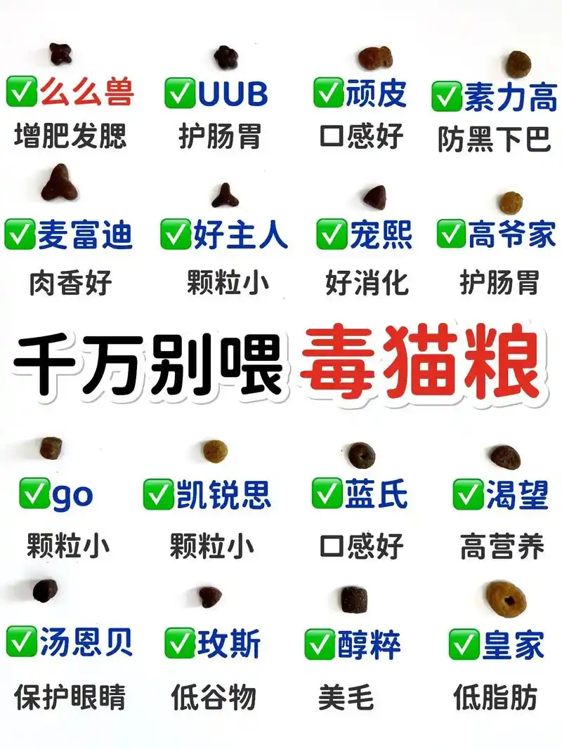 市面上有毒猫粮很多,教你如何正确避开.#猫粮 #王者  - 抖音