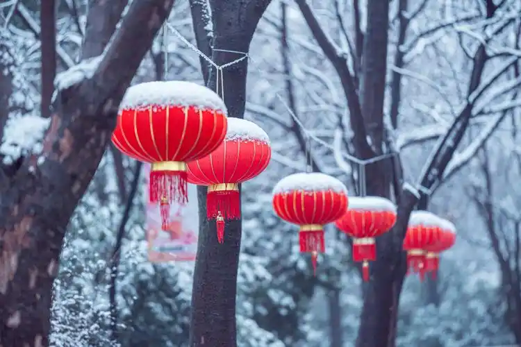 雪中红灯笼