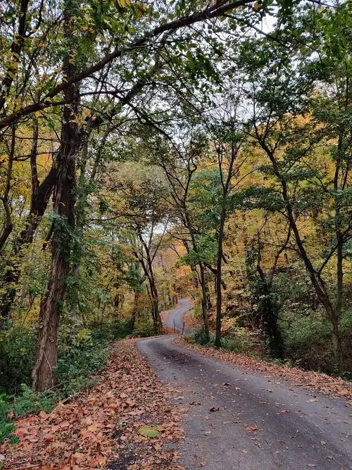 想看看大家关于秋天的照片