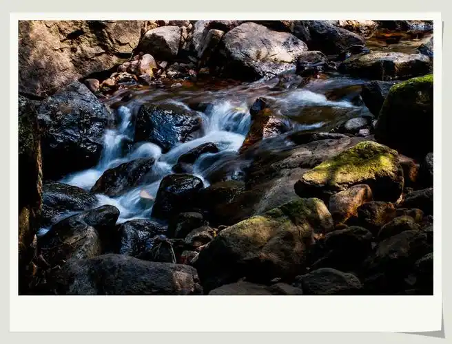 泉眼无声溪细流树阴照水爱情柔