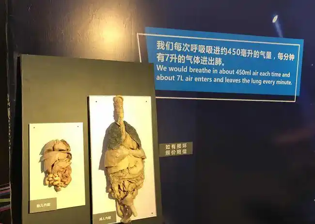 「人体奥秘」科普展