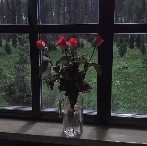 朋友圈背景图别以为钻进人群你就不孤独了