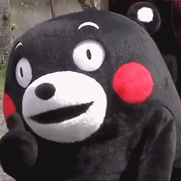 熊本熊可爱搞笑逗比gif动图_动态图_表情包下载_soogif