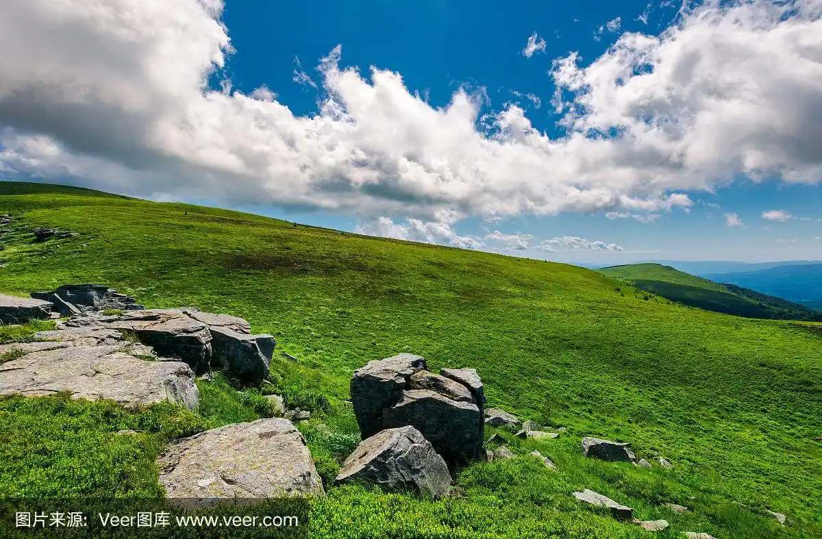 山坡上长满草的草地边上的岩石