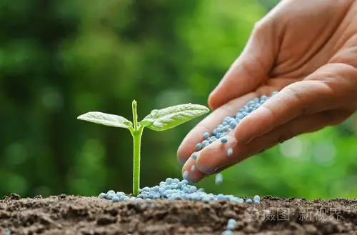 农夫给年轻绿色的植物肥料的手照片-正版商用图片0dxm0l-摄图新视界