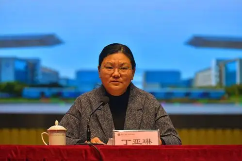 副市长丁亚琳强调,学校要以此次教育教学质量诊改复核为契机,认真总结