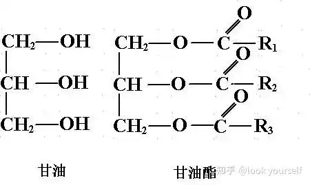 甘油(glycerol)又叫丙三醇甘油三酯什么是高甘油三酯?