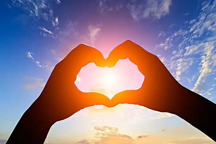 双手比心图片阳光