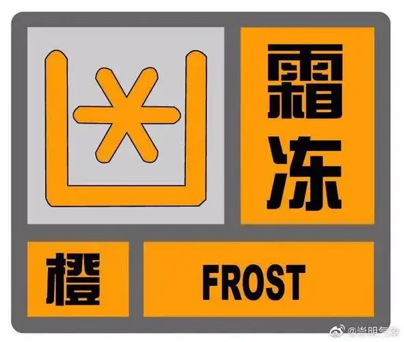 4度!天呐天呐,崇明被冻住了!_霜冻