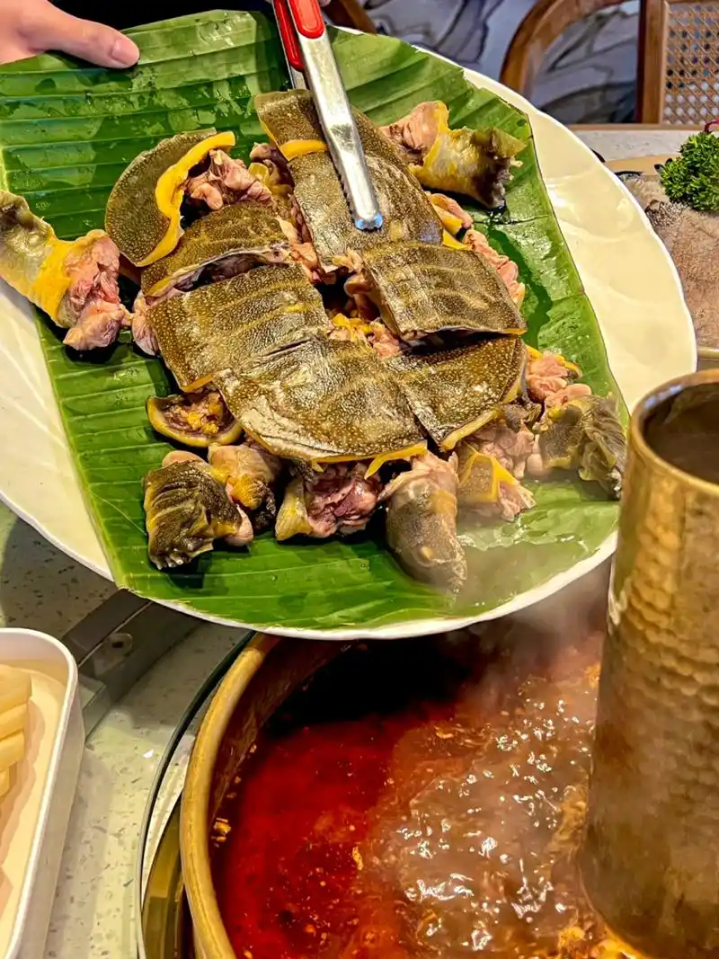 大家!!超好吃的甲鱼火锅,好适合冬天 成都我最爱的两家甲鱼🐢火锅