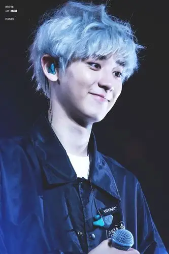 exo 朴灿烈 明星 美男