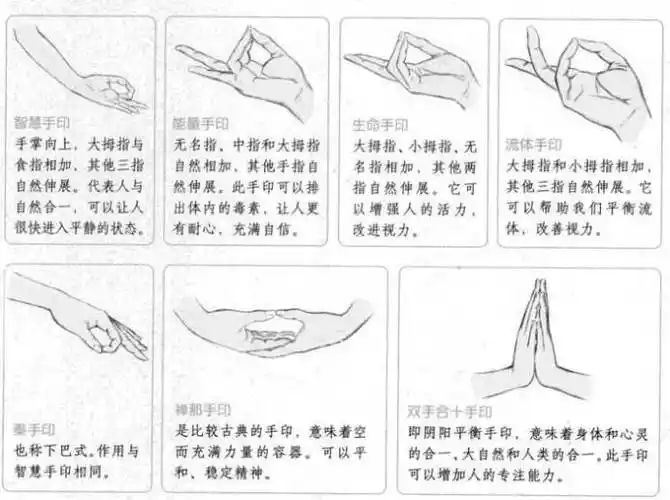五招教你速成练瑜伽,瑜伽手印对人体的功效