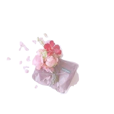 36张微信半透明头像素材下载 好看的微信无边框透明头像 (全文)