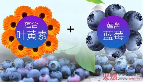 哆精灵蓝莓叶黄素酯压片糖果 让视界更清晰