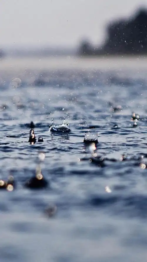 唯美雨滴雨中景色手机壁纸