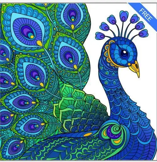 孔雀的画法儿童画 如何画孔雀