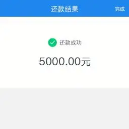 输入还款金额并确认支付使用任性贷成功后会显示还款提醒任性贷还款