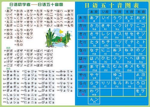 日语五十音图发音单元平假名片假名笔画笔顺贴纸海报贴图墙贴挂图