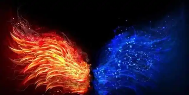 12星座独有的"羽翼",水瓶座的很抢眼,狮子座是冰与火的碰撞!