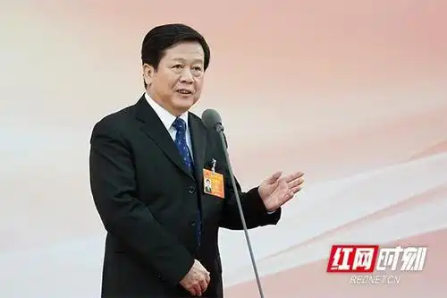 直击"厅长通道"丨徐湘平:把自贸试验区建设作为实施"三高四新"战略