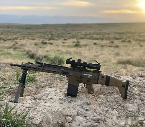 沉稳憨厚的体态fn公司scar17步枪美图欣赏