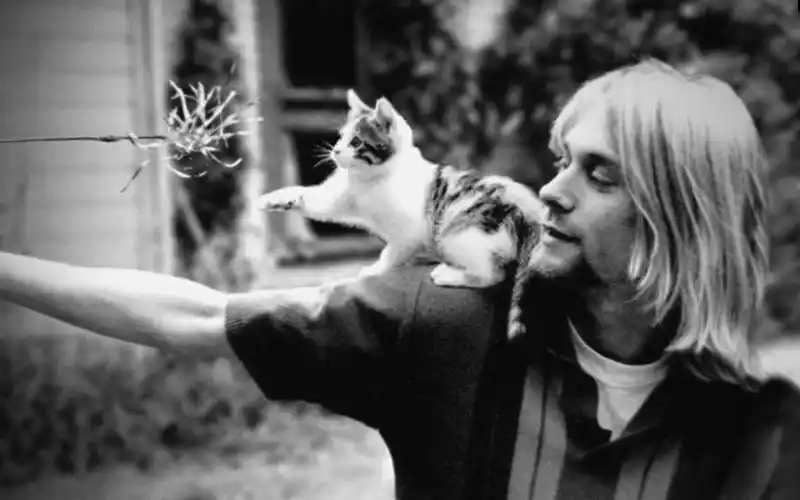 【科特·柯本:烦恼的蒙太奇】where did you sleep last night