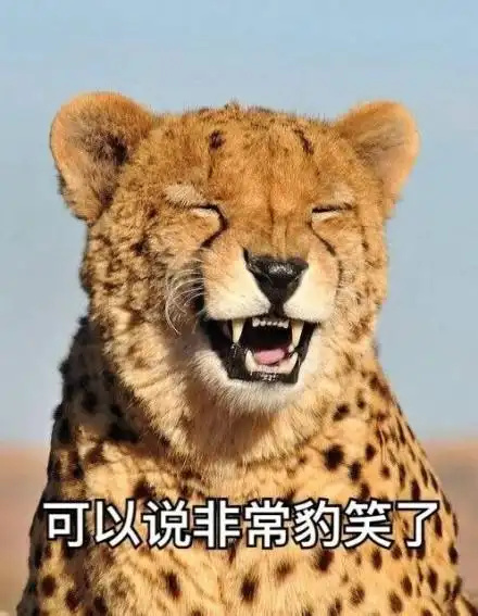 可以说表情包 - 可以说微信表情包 - 可以说qq表情包 - 发表情 fa