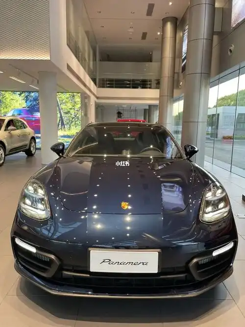 panamera铂金版没人喜欢吗