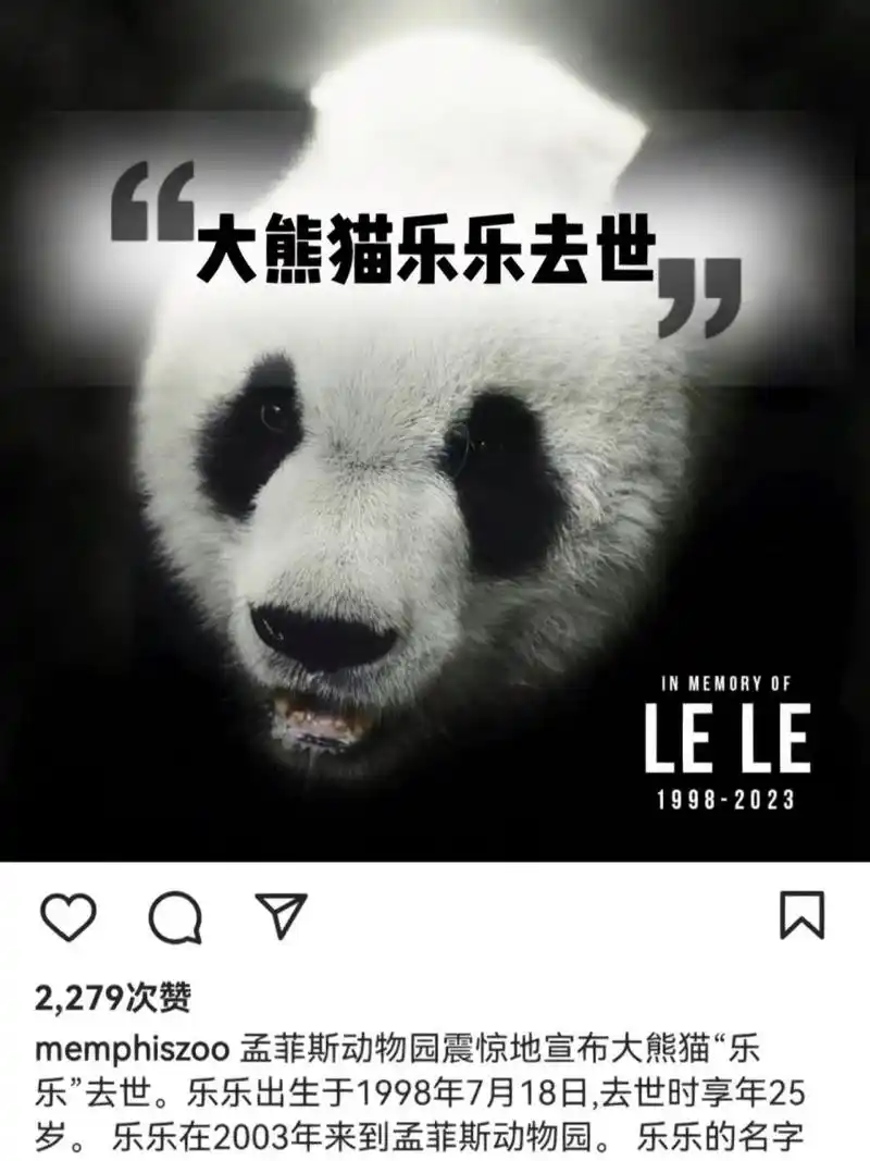 美国田纳西州孟菲斯动物园宣布,旅美大熊猫94乐乐去世.