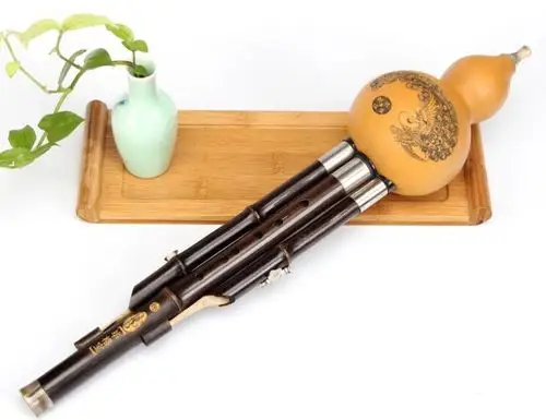 浙师大附小竹笛葫芦丝拓展课才艺展示