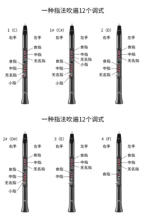 雅家akai雅家5000电吹管乐器ewi5000初学者电萨克斯solo电子吹管定制