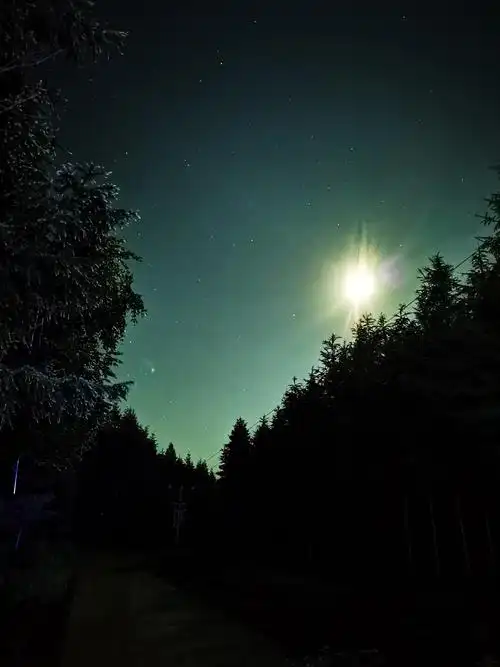 林区夜景大山里的自然风光