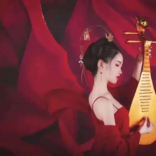 野洵 古风女喜收藏 禁二传十里红妆 凤冠霞帔惟愿执子之手 与卿相濡以