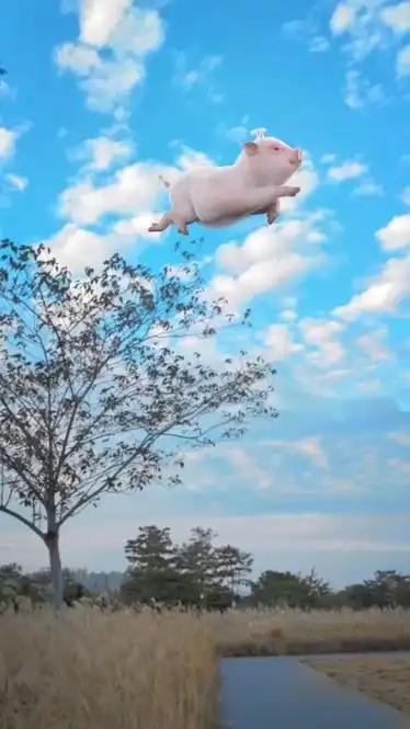 此景梦中才能出现可爱的飞天猪