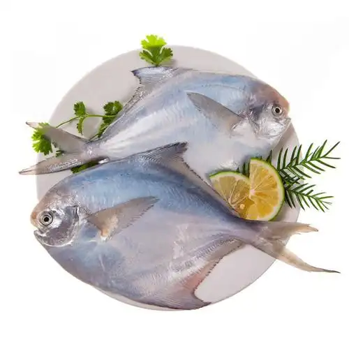 南泓村 深海银鲳鱼 生鲜白鲳鱼 3条/袋