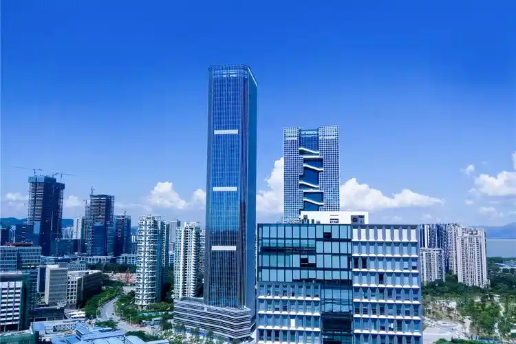 深圳楼市:大运和坂田哪个更值得入手?听听专业人士怎么说