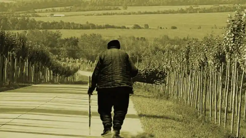 数字故事当我老了ppt课件ppt