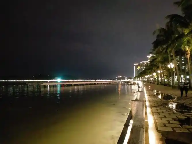 情侣中路的夜景