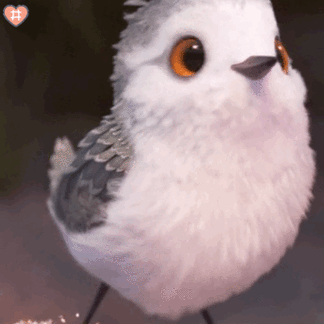 【原创】可爱小鸟表情包动图昨天看到的小动画 做成表情包了太可爱了