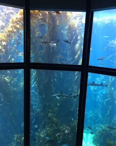 海湾水族馆门票,海湾水族馆门票预订,海湾水族馆门票价格,去哪儿网