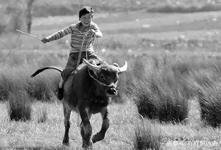 80年代老照片,一群老人在公园晨练姿势很奇怪,小男孩骑牛飞奔