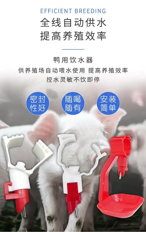 鸭子饮水器鸭用卡式饮水器鸭子自动饮水器卡式球阀饮水器鸭子水嘴