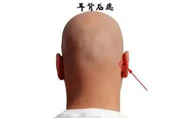 耳朵往后背的人面相_耳朵向后背的人没福气吗_耳朵往后背的人好不好