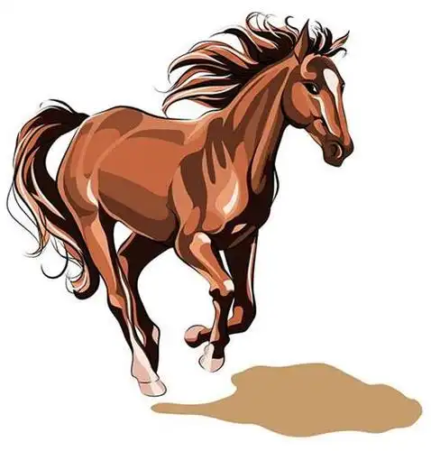 属马和什么属相冲属马相合的生肖