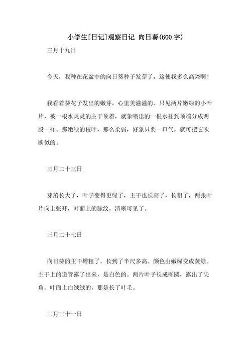 小学生日记观察日记向日葵600字