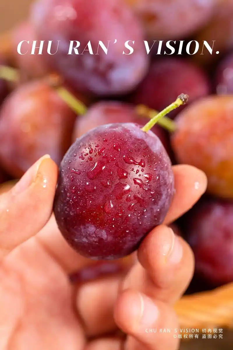 水果拍摄西梅.西梅(拉丁#学名:prunus domesti - 抖音