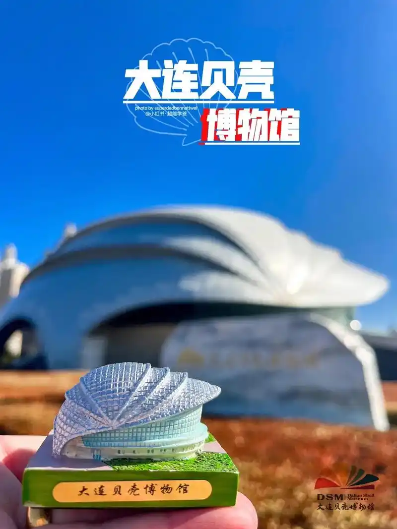 大连『贝壳博物馆』内附薅羊毛攻略|遛娃.